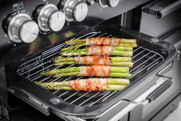 RS17711_Nexus SE deluxe glide-out grill iwth asparagus-original.jpg